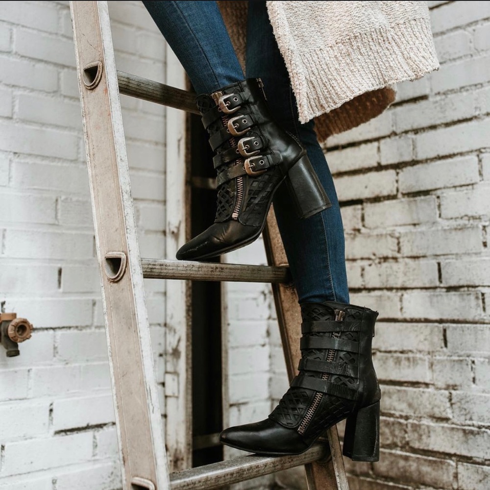 Freebird by Steven Julia